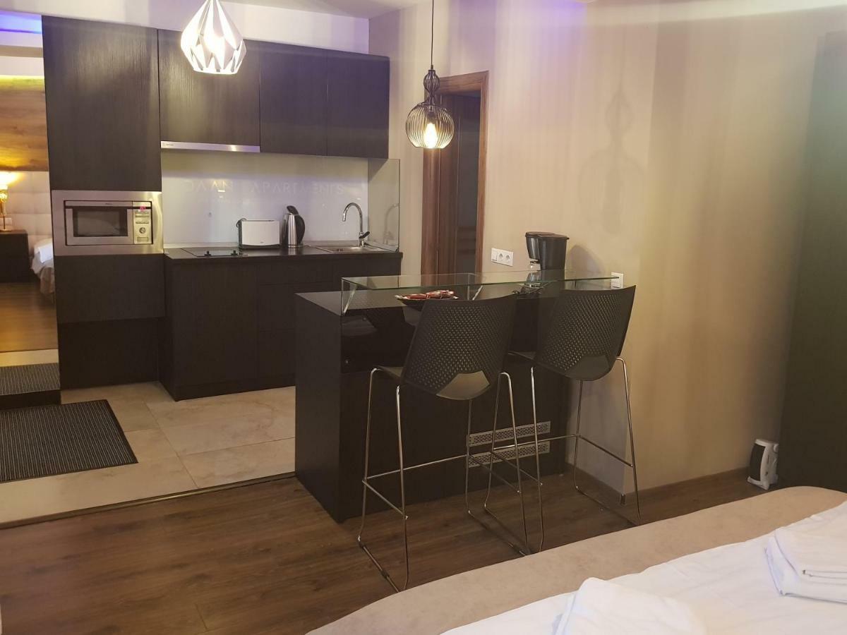 Daan Apartments Κλουζ-Ναπόκα Εξωτερικό φωτογραφία